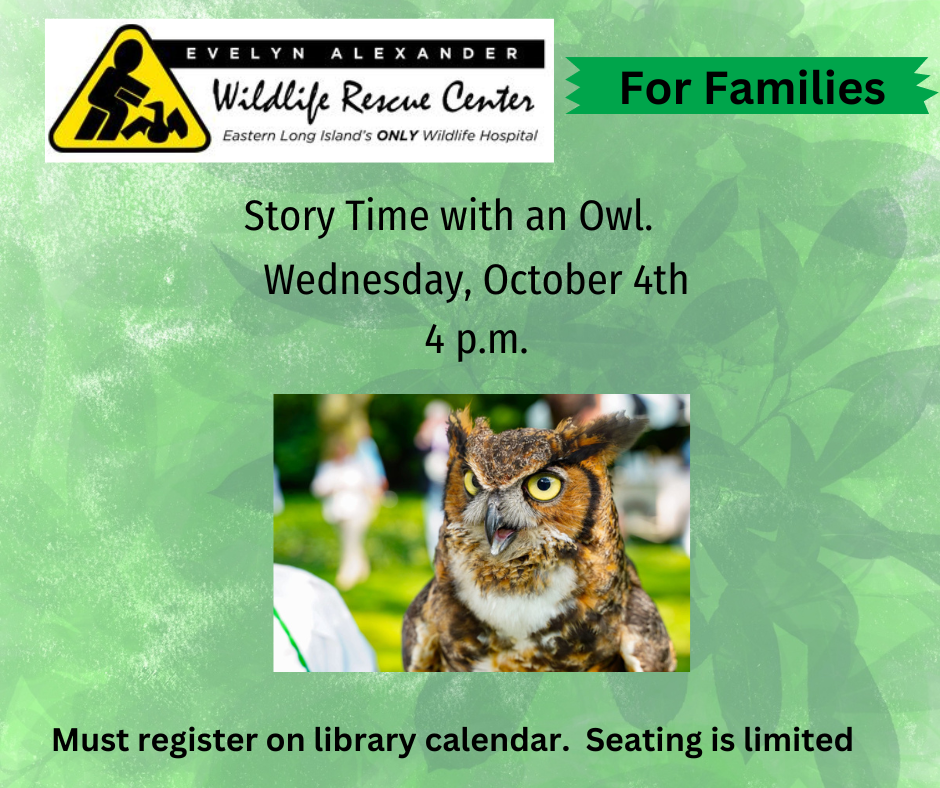 Meet and learn about the Owl