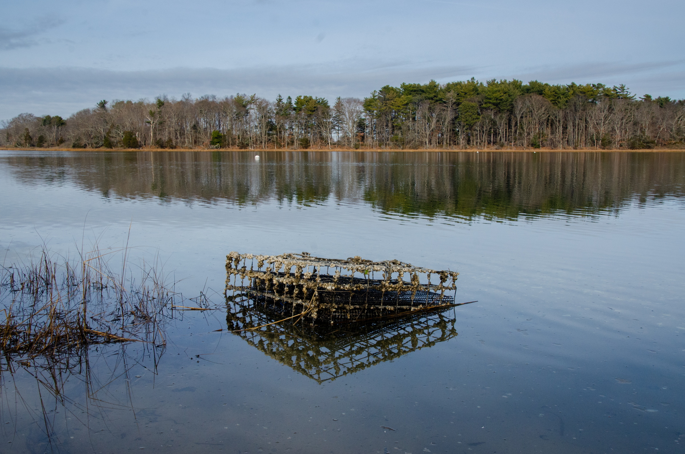 "Between the Tides" - J. McCleery 