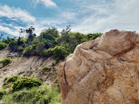 "Look Up" -- J. Schweibish