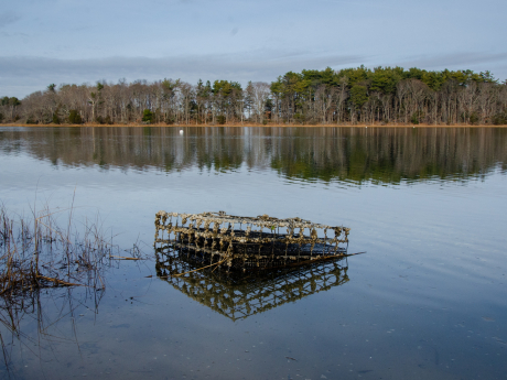 "Between the Tides" - J. McCleery 