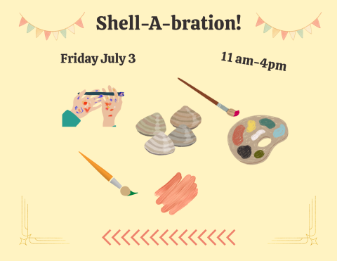 Paint your own clam shell!