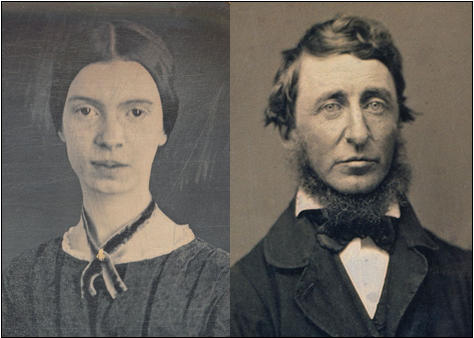 Dickinson \Thoreau