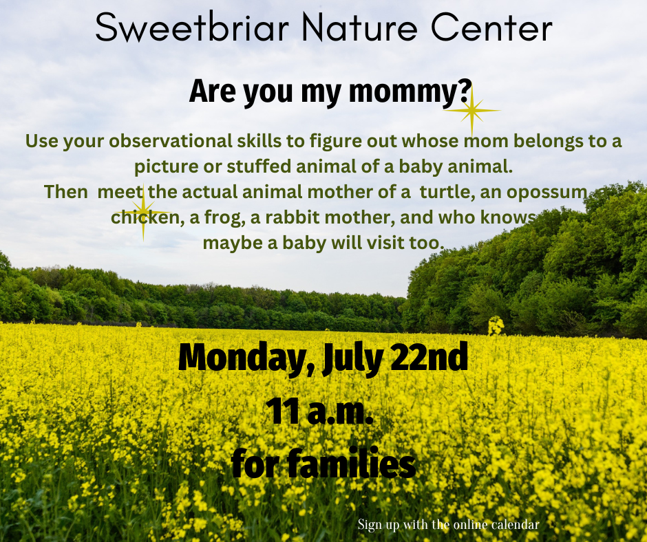 Learn about and meet live animals