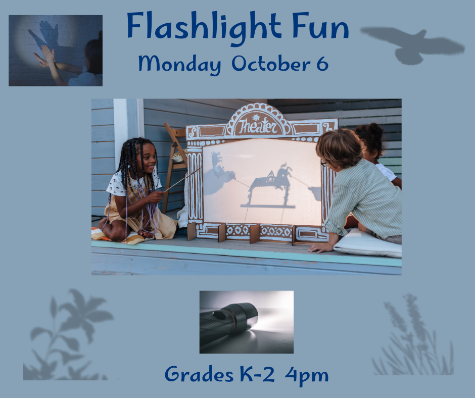 Fun and learning creating shadows with light