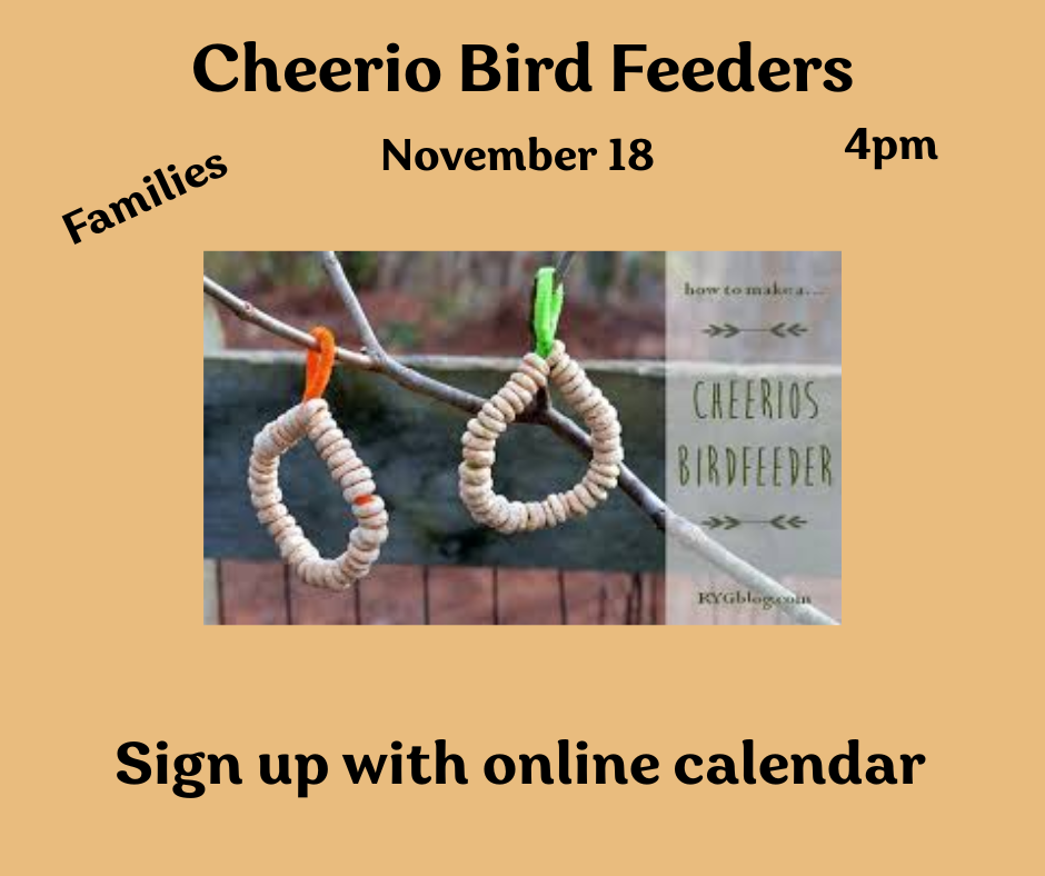 Create your own bird feeder using cheerios