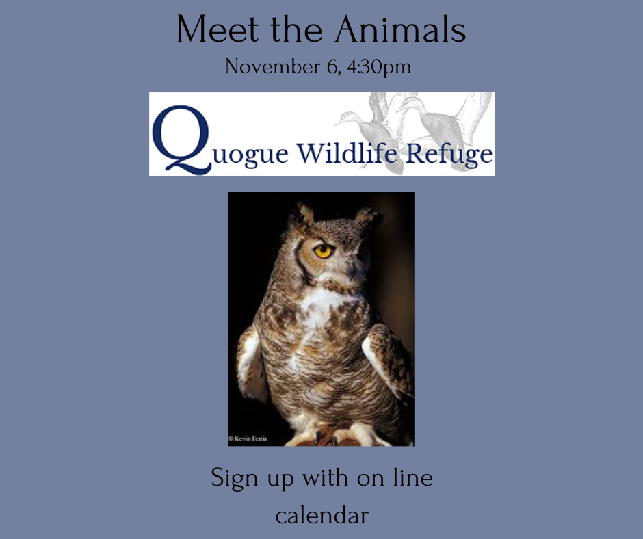 Meet and learn about a variety of animals from the Quogue Wildlife Refuge