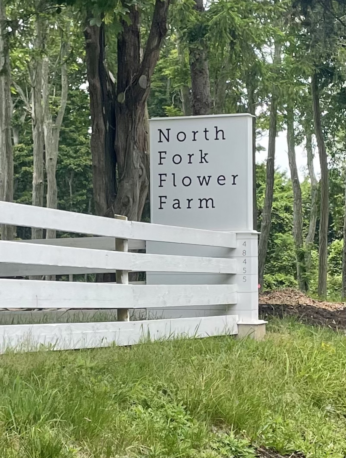 NF Flower Farm